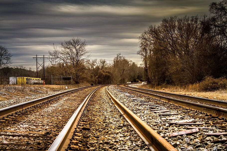 railroad beside trees, train, rails, trains, abandonment, railway HD wallpaper