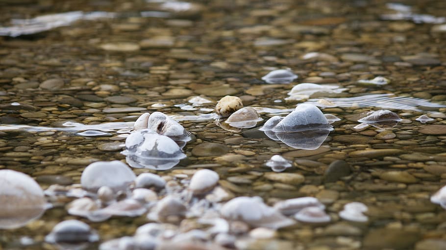 Isar, River, Bavaria, Germany, Bank, nature, atmosphere, mood HD wallpaper