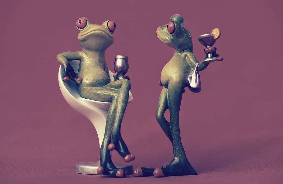 frog, chair, cozy, for two, drink, wine, soaked, cute, sweet, HD wallpaper
