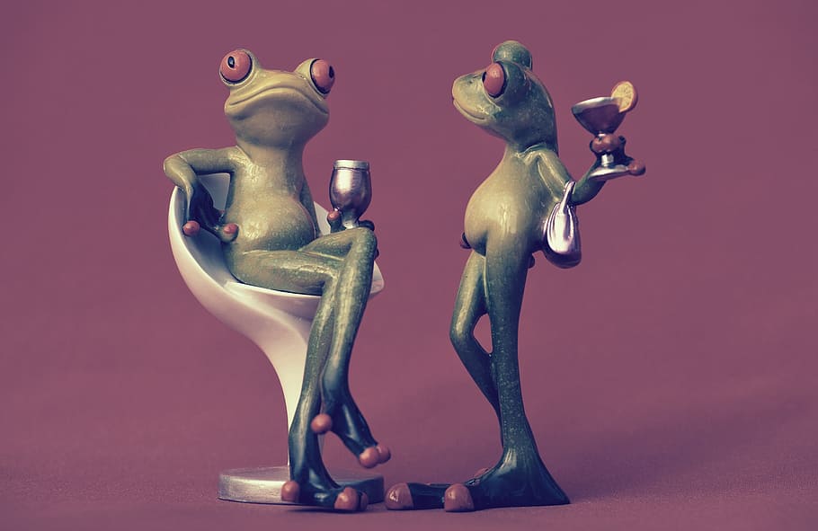 frog, chair, cozy, for two, drink, wine, soaked, cute, sweet HD wallpaper