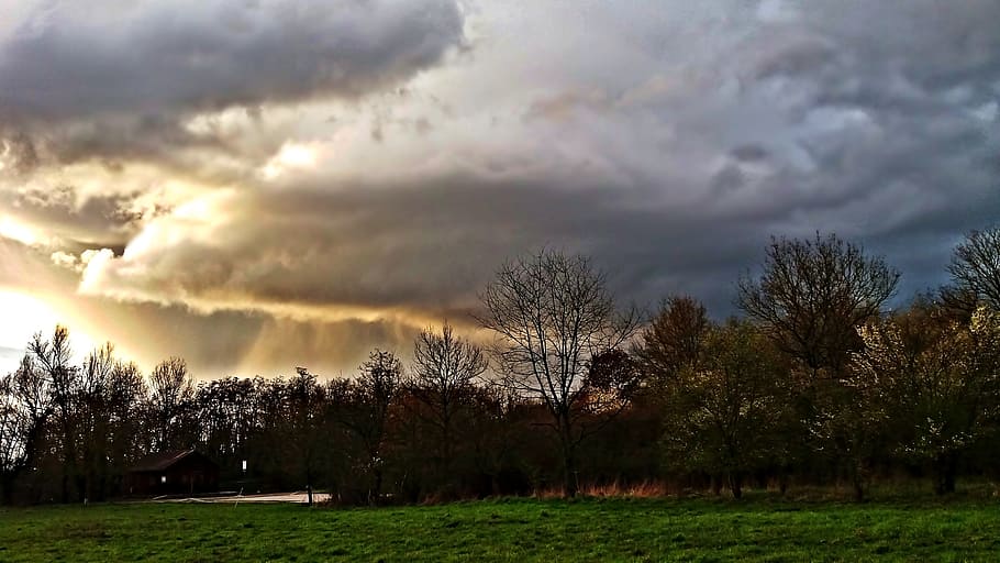 Dark Clouds, storm, rain, before the storm, field, nature, cloud - Sky HD wallpaper