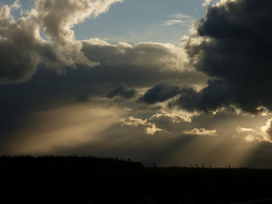 sunbeams, clouds, evening light, cloud - sky, beauty in nature HD wallpaper