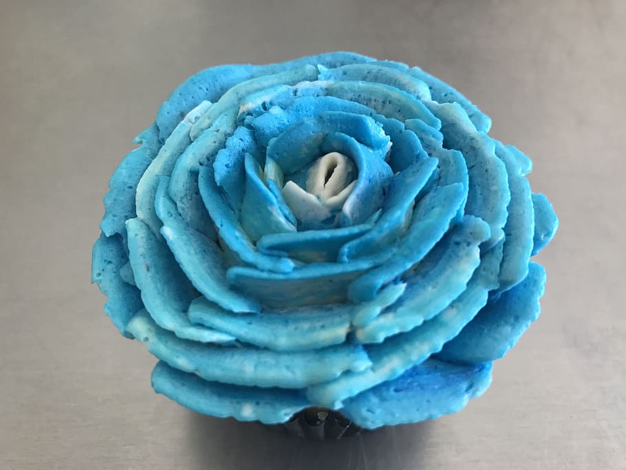 cake, cupcake, flower, close-up, blue, freshness, indoors, no people HD wallpaper