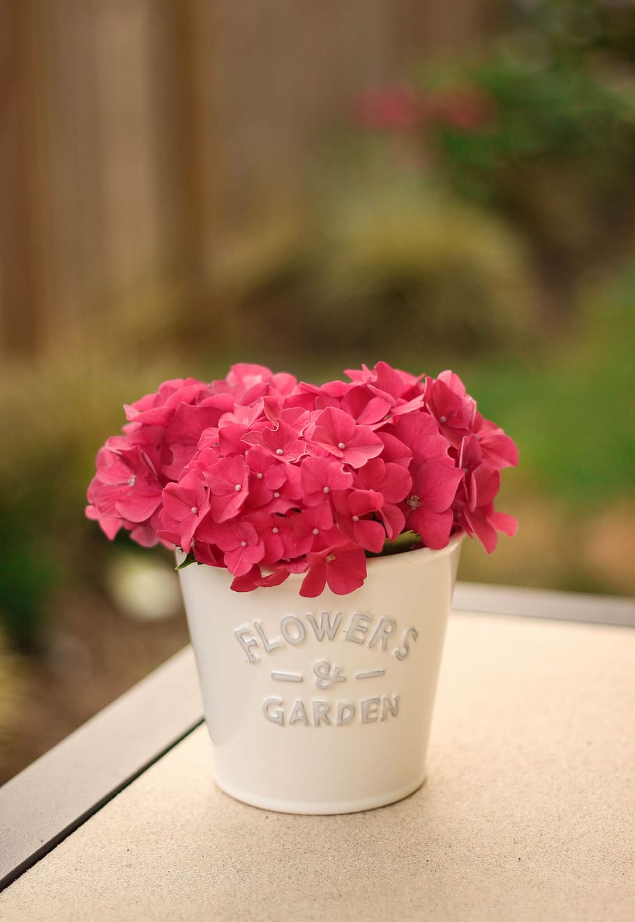 pink flowers on vase, fresh, hydrangea, nature, spring, spring flower HD wallpaper