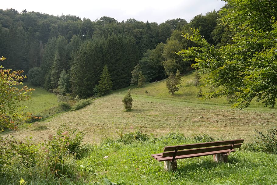 bank, view, viewpoint, landscape, swabian alb, outlook, schlichemursprung HD wallpaper
