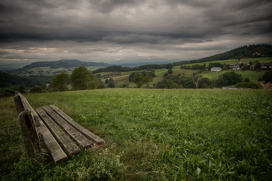 bench, nature, sky, clouds, countryside, environment, field, forest HD wallpaper