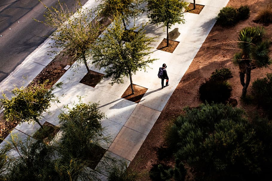 birds eye view of man walking surrounded by trees, person walking along pathway HD wallpaper