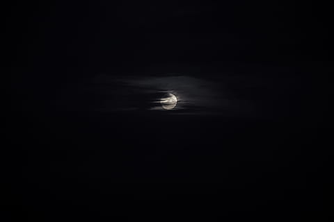 moon, october, scary, night, spooky, horror, dark, sky, full HD wallpaper