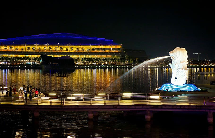 Merlion Singapore during daytime near buildings, night, fountain HD wallpaper