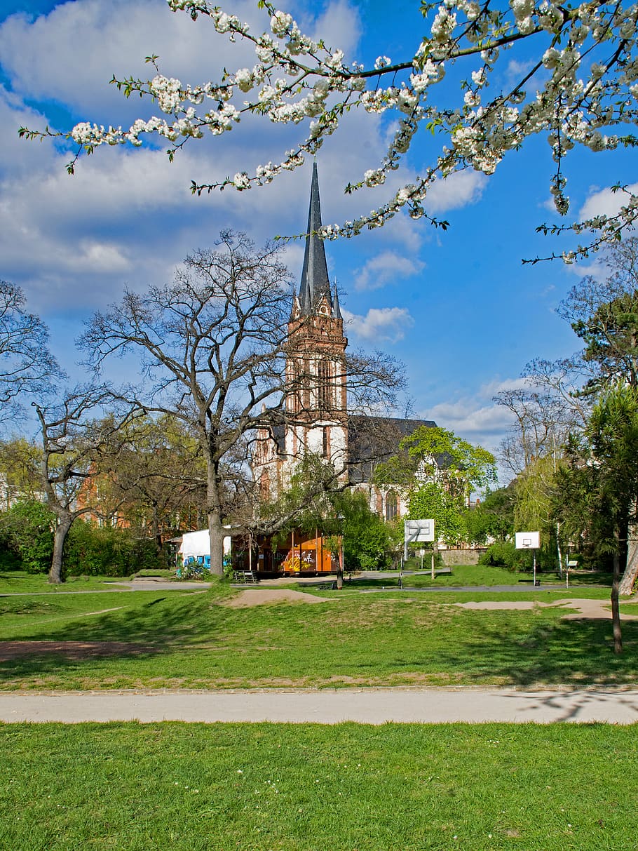 darmstadt, hesse, germany, mr garden, park, spring, flowers, HD wallpaper
