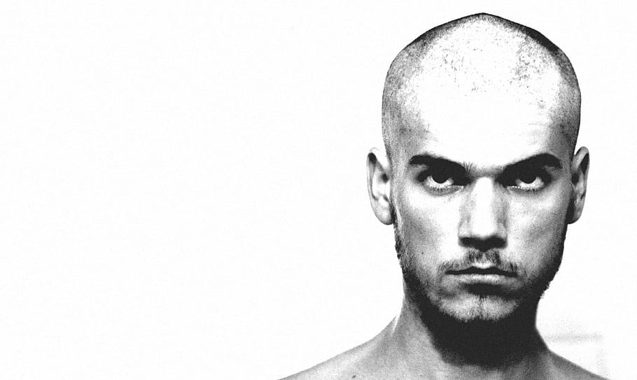 Portrait, Escape, Prison, Dear, human body part, human face HD wallpaper