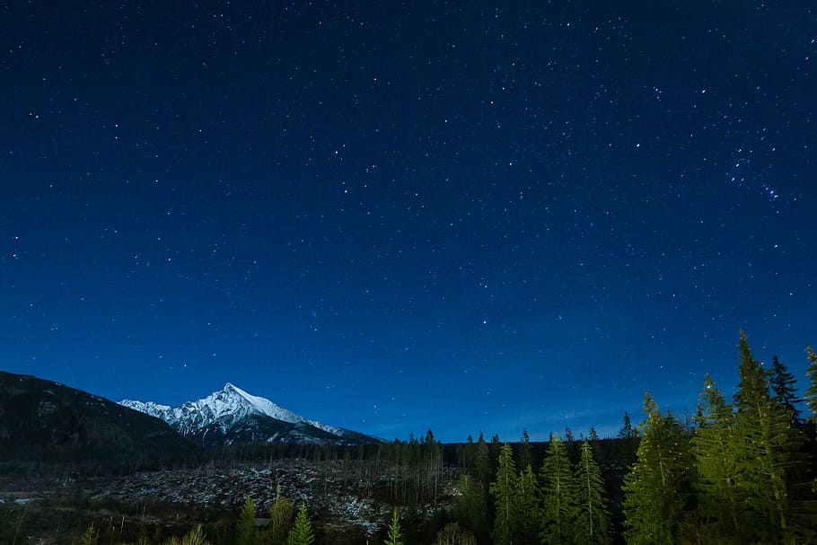 Mountain With Night Sky Full of Stars, blue, dark, forest, krivan, HD wallpaper