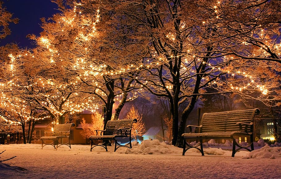 yellow string lights during night time, bank, christmas, tree, HD wallpaper