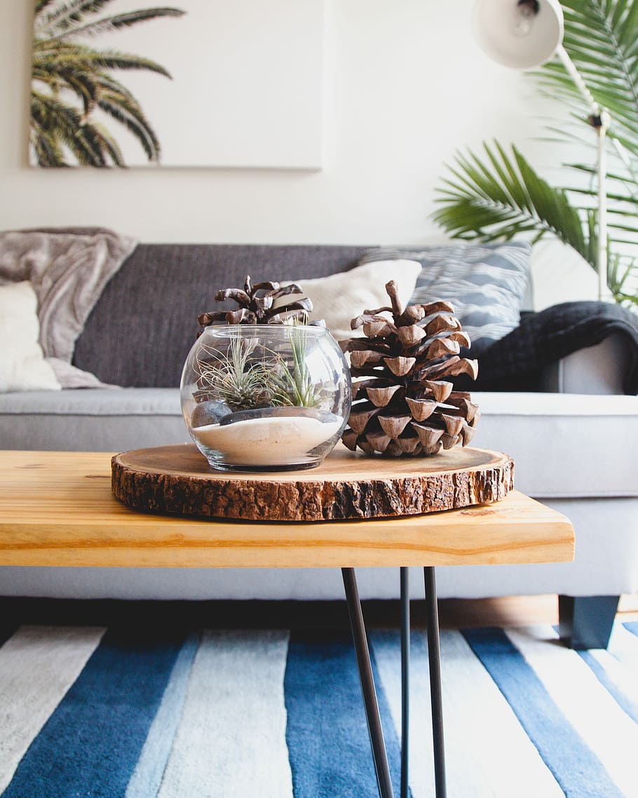 clear fishbowl beside pine cones on brown wooden table, acorn on wood slab on wooden coffee table near sofa