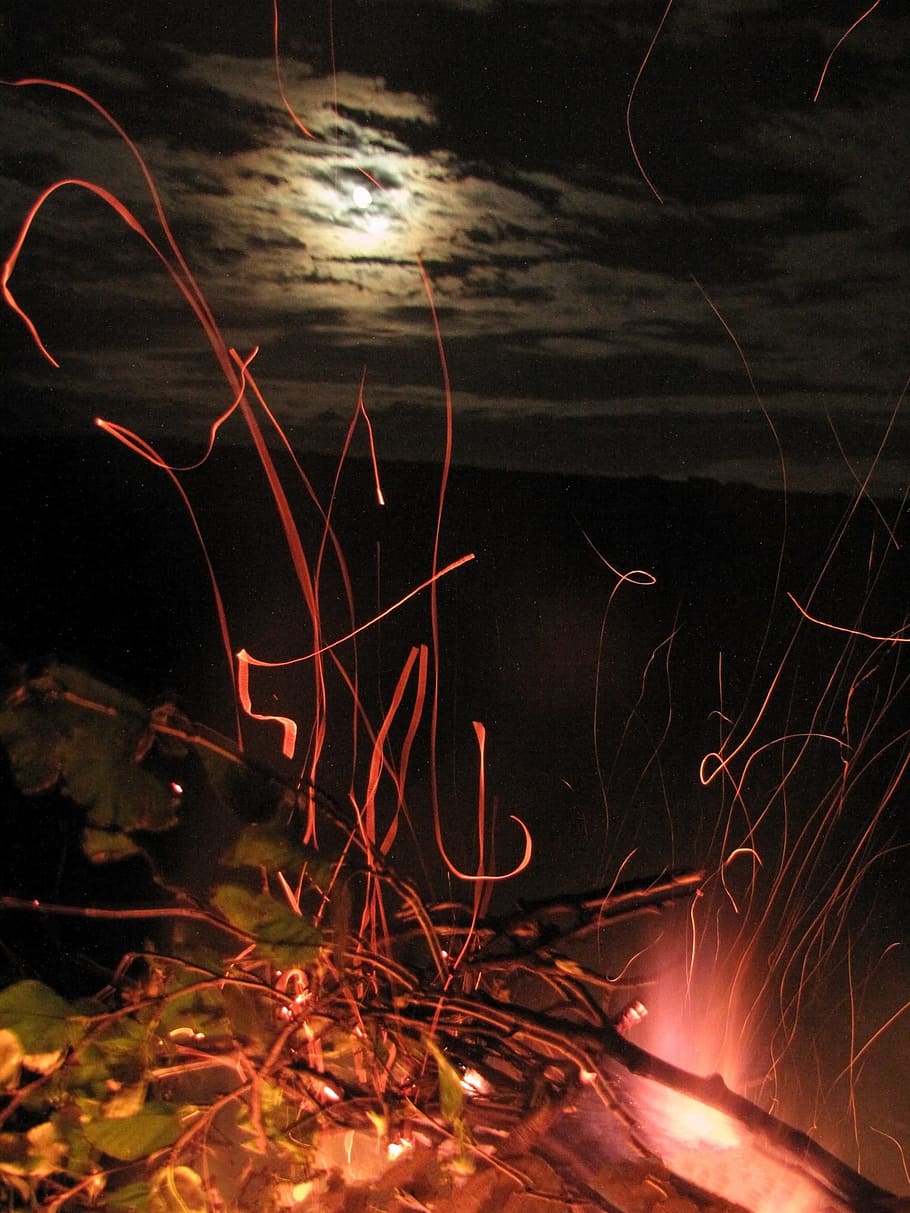koster, fire, spark, night, flame, coals, firewood, burns, heat HD wallpaper