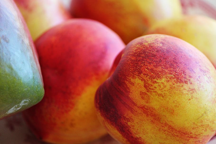 red and yellow apple close-up photography, nectarine, mango HD wallpaper