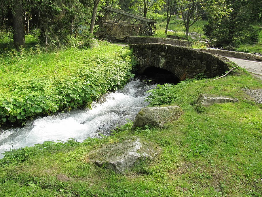 Nature, Bridge, Poland, water, no people, forest, river, green color HD wallpaper