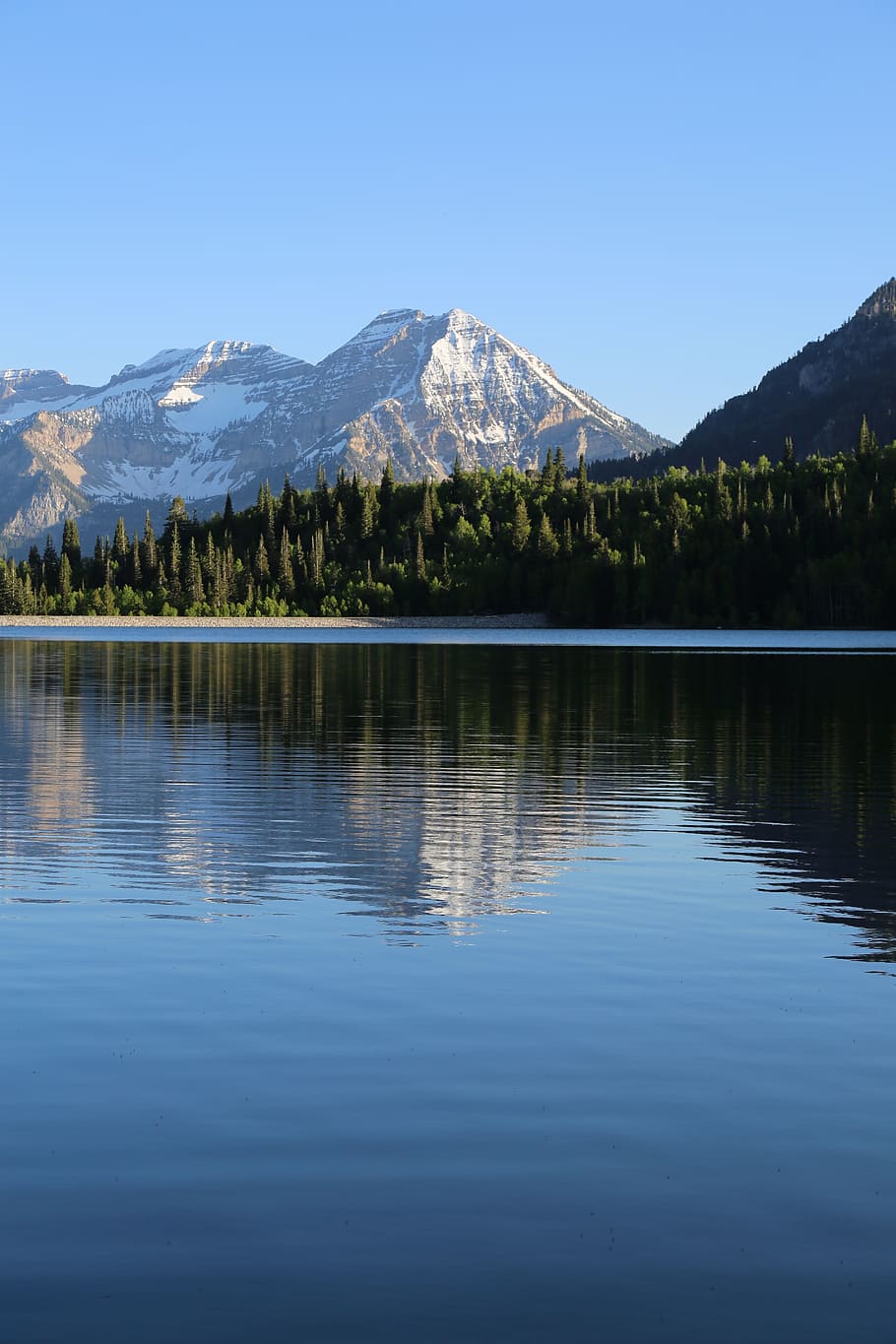 lake, water, reflection, trees, plant, nature, mountain, forest HD wallpaper