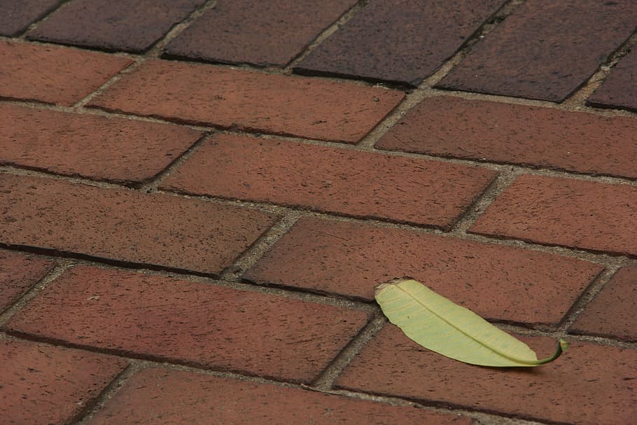 leaf, brick, floor, texture, stone, grunge, brown, high angle view HD wallpaper