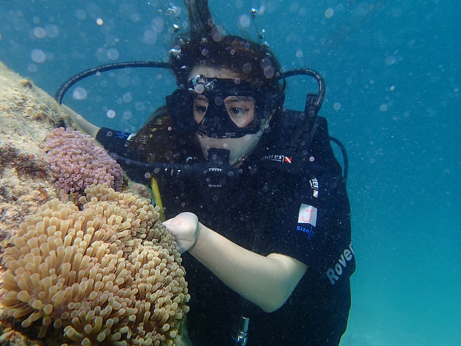 oxygen cylinder, south-east asia, malaysia, marine, diving
