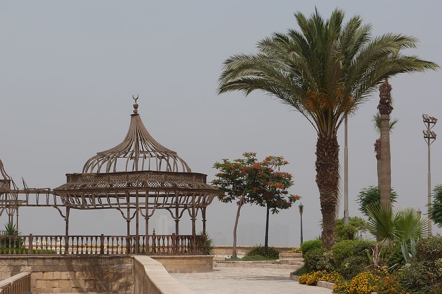 palm tree, plaza, plants, tropical climate, nature, sky, architecture HD wallpaper