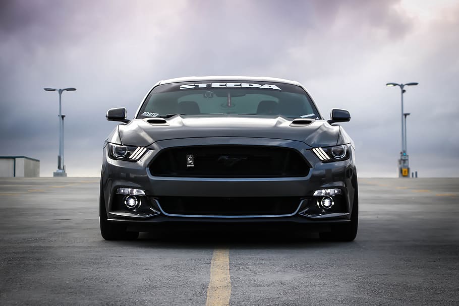 black Shelby car on road, photo of gray Ford Mustang on road during daytime