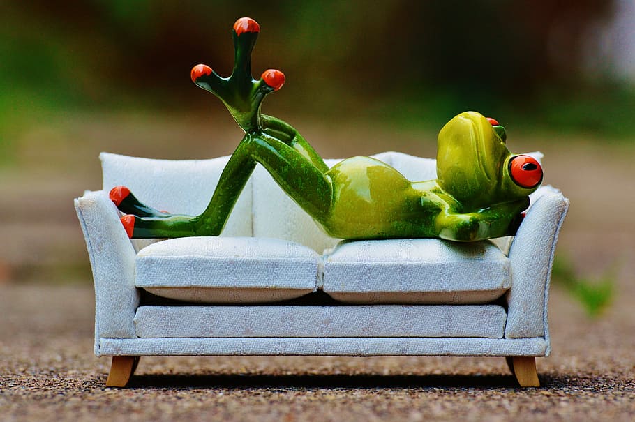 green frog on white sofa decor, relaxation, rest, funny, cute