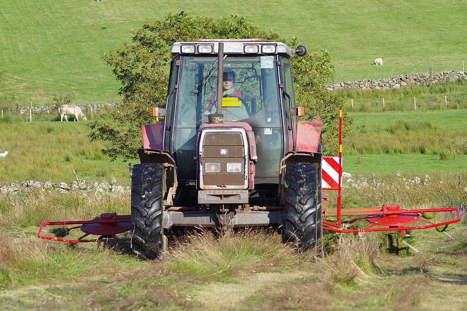Hay, Tractor, Rural, hay making, summer, machine, grass, equipment HD wallpaper