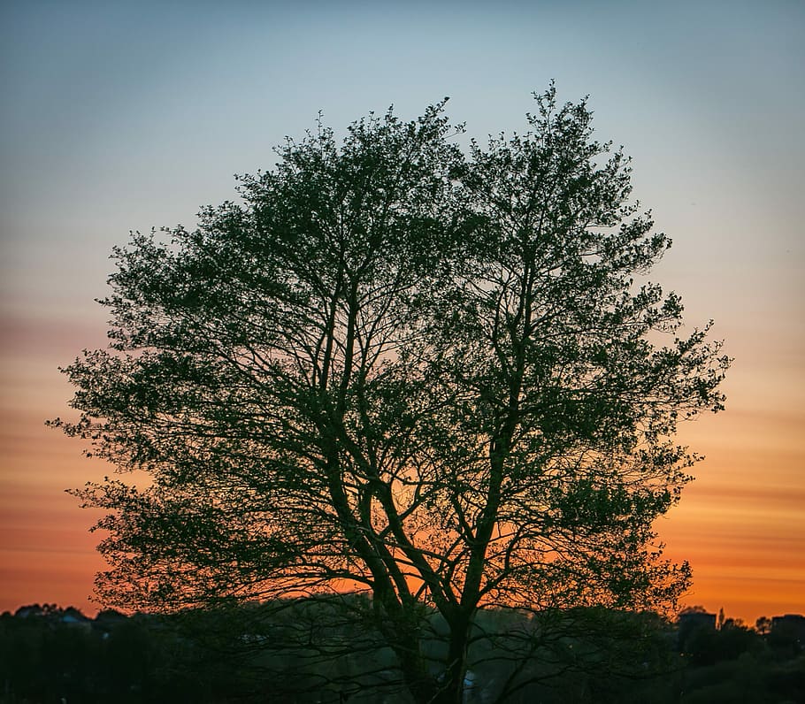 Sunset, Evening, Orange, Sky, View, denmark, natural, landscape HD wallpaper
