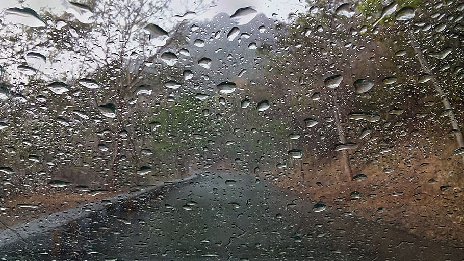 raindrops, water, india, wet, nature, glass - material, rainy season HD wallpaper