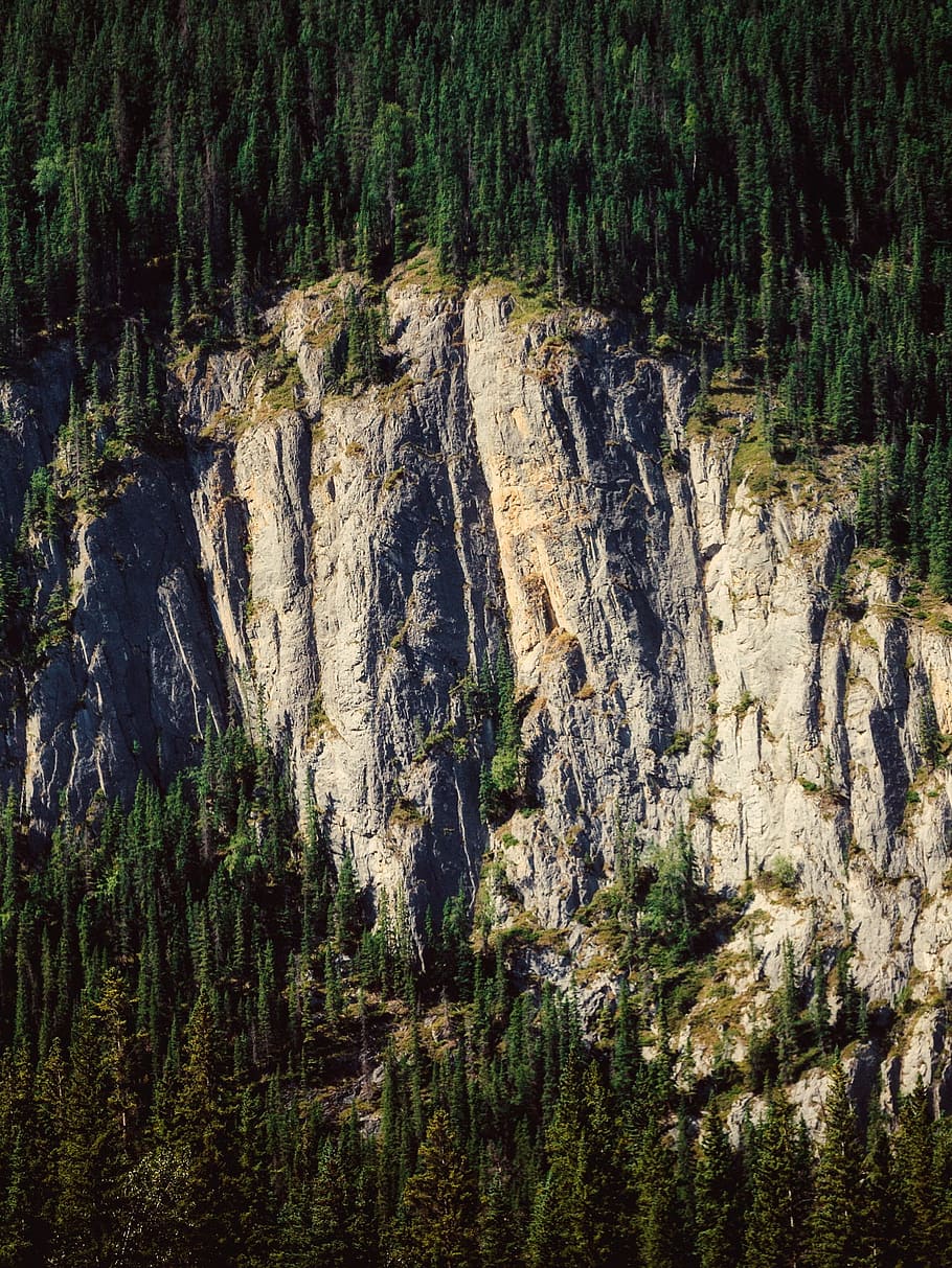 canada, mountain, cliff, landscape, forest, trees, woods, nature HD wallpaper