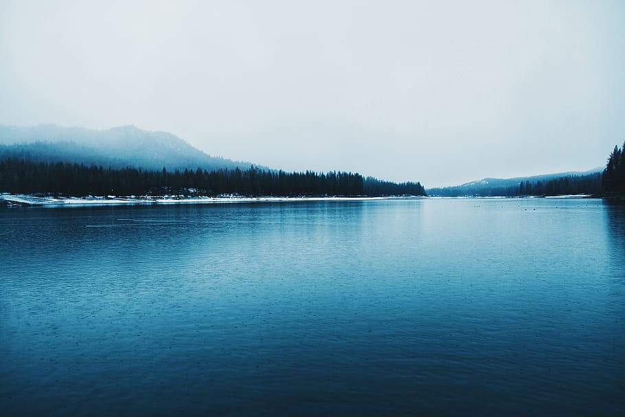 long exposure photo of body of water, lake in a distance of trees HD wallpaper