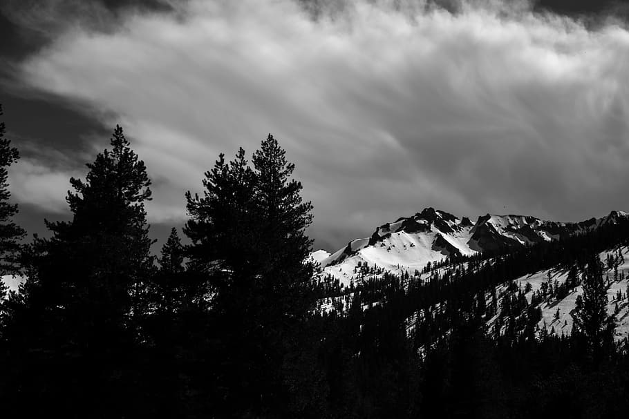 grayscale photo of mountain covered with snow, grayscale photo of forest near mountain HD wallpaper