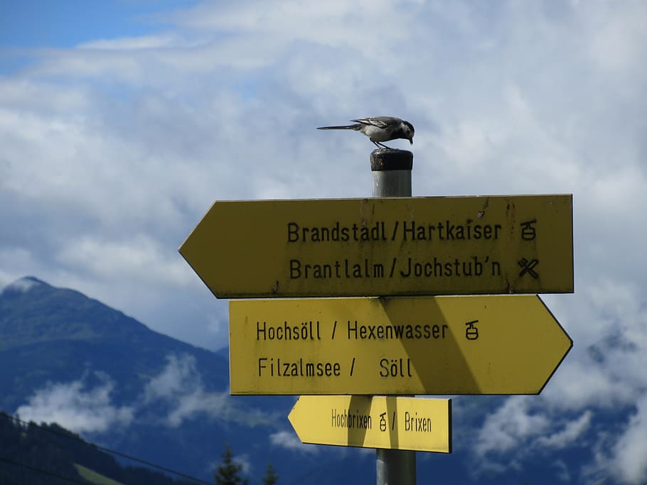 tirol, mountain, mountains, bird, board, alps, austria, clouds HD wallpaper