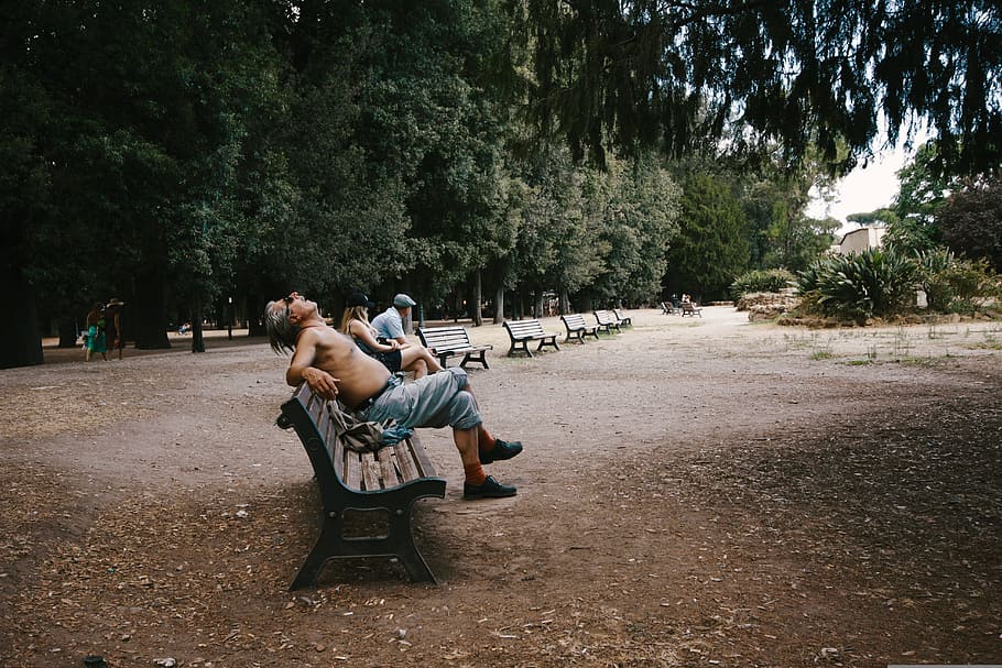 CHILL, man sitting on brown bench surrounded by trees, guy, male HD wallpaper