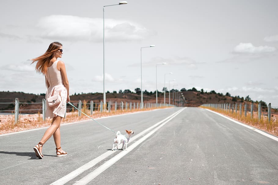 woman in white sleeveless dress holding harness of puppy walking on asphalt road during daytime, photo of woman wearing pink dress holding white dog leash HD wallpaper