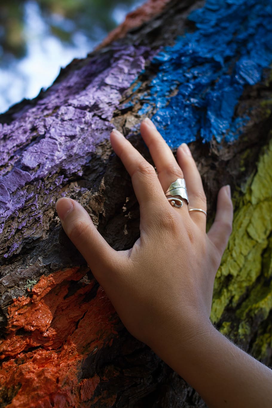 Oma, Tree, Forest, Painted, Hand, Nature, fingers, vizcaya HD wallpaper
