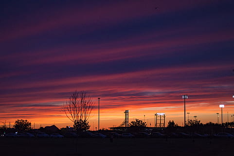 silhouette of trees and posts at golden hour, black post under cal sky during golden hour HD wallpaper