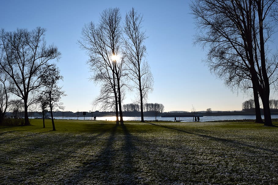 sun, tree, back light, nature, silhouette, shadow, landscape HD wallpaper