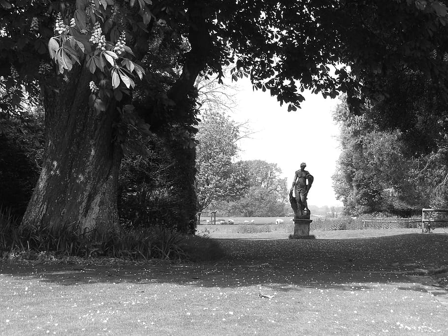 statue, rural, tree, field, spirituality, sculpture, figure HD wallpaper
