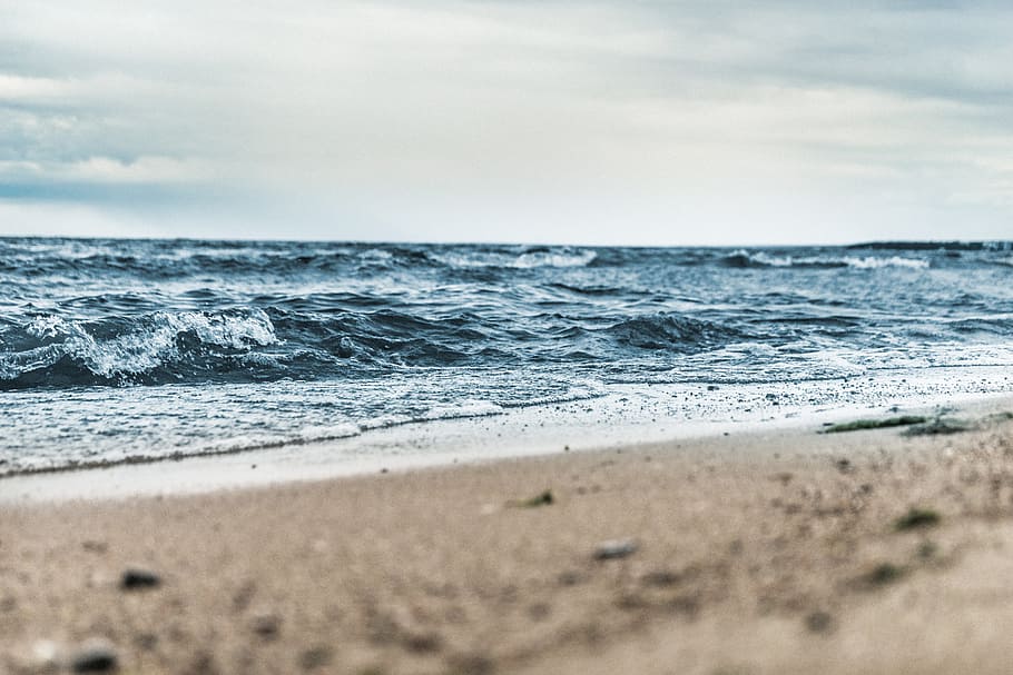 macrophotograph of beach shore, blur, close-up, clouds, daylight HD wallpaper