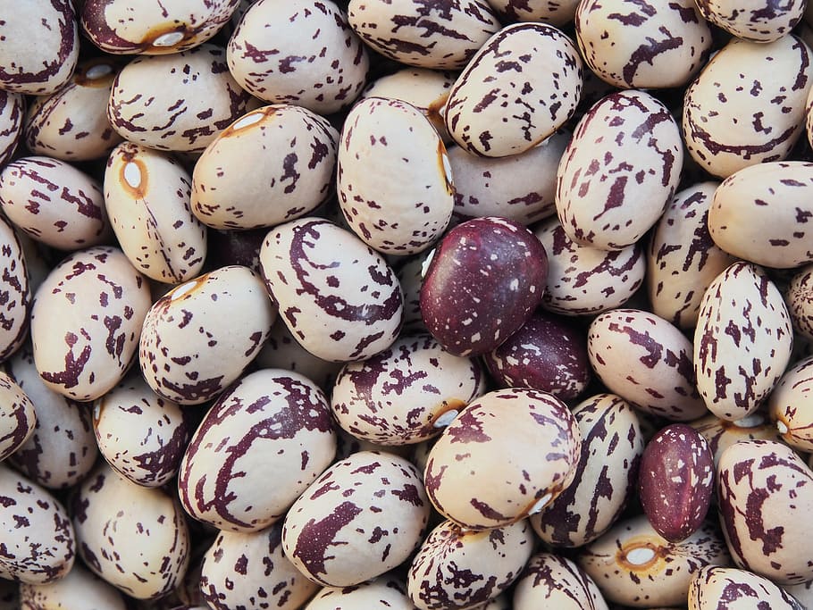 close up photography of nuts, borlotti, beans, dried, pulses, HD wallpaper