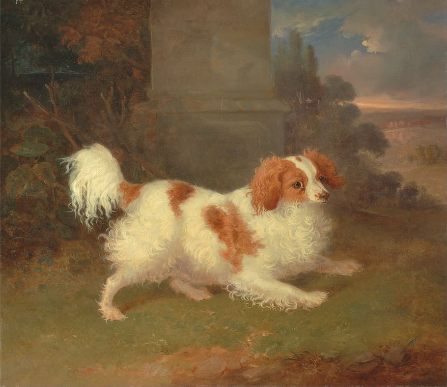 long-coated white and brown dog painting, william webb, oil on canvas
