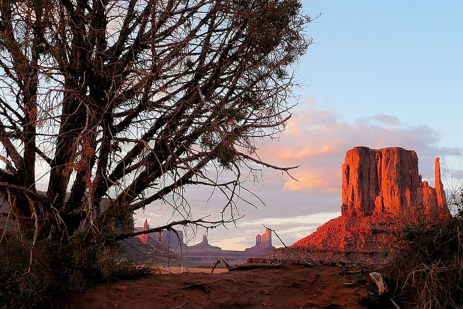 monument valley, evening, sunset, tree, rocks, red, color, landscape HD wallpaper