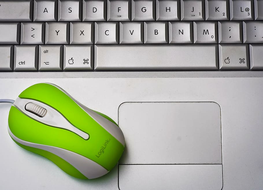 green and white LogiLink corded computer mouse, laptop, notebook, HD wallpaper