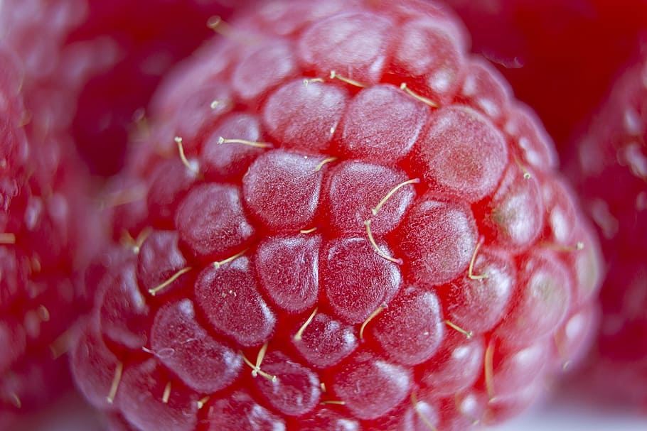 raspberry, closeup, red, fresh, healthy, sweet, dessert, nutrition HD wallpaper
