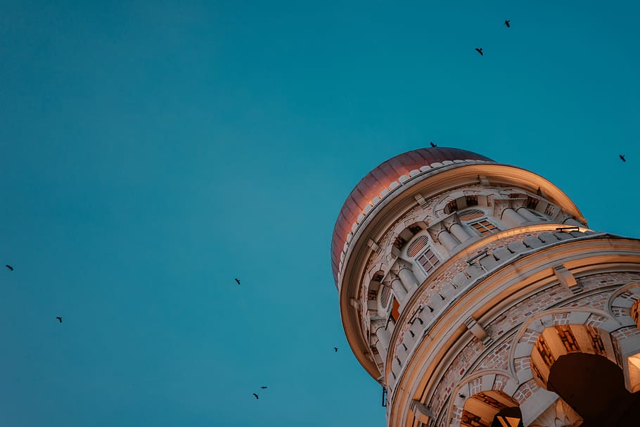 low angle photography of building, low angle view of tower under birds flying HD wallpaper