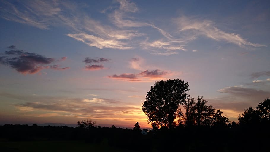 Sun, Sunset, Clouds, Tree, sky, abendstimmung, evening sky HD wallpaper