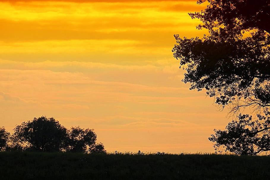 Sunset, Trees, Silhouette, Twilight, evening sun, dusk, evening sky HD wallpaper