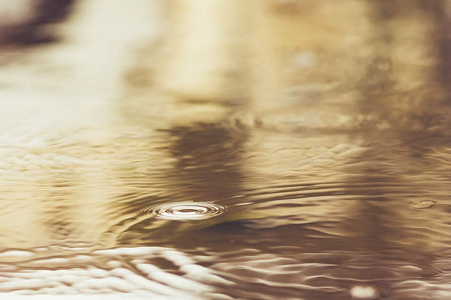 close-up photography of calm water, texture, ripple, gold, circle HD wallpaper